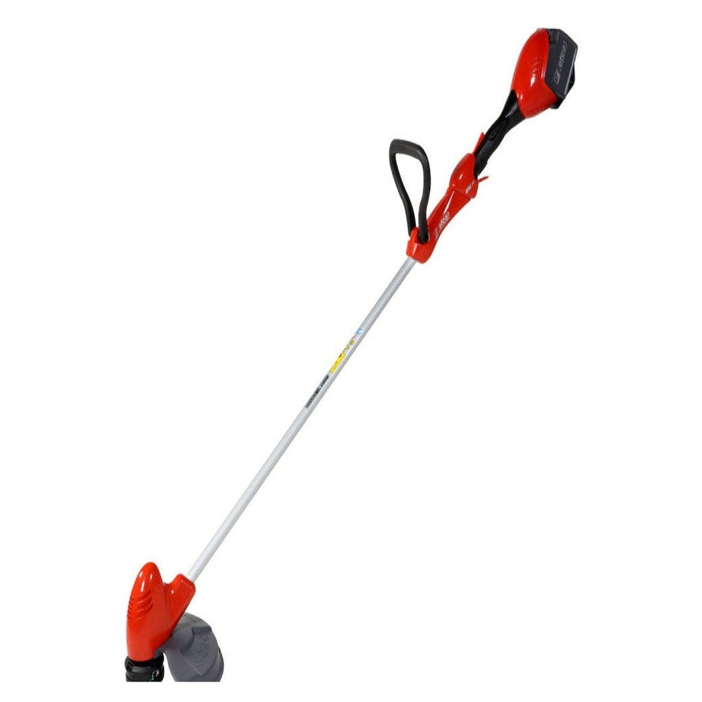 Efco Decespugliatore a Batteria DSi 30 (KIT)