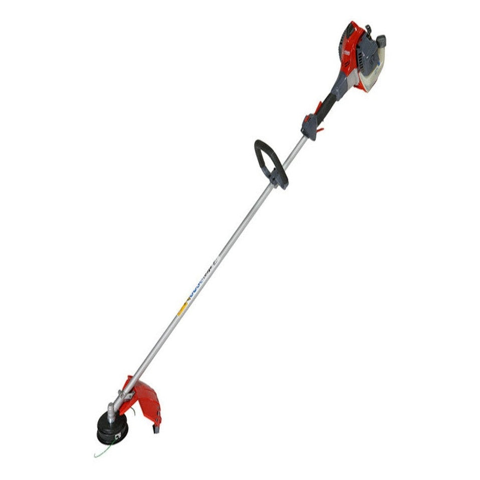 Efco Decespugliatore DS 2410 S