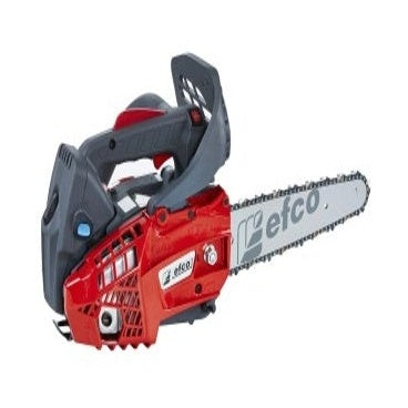 Efco Motosega Mtth 2400 Carving per Potatura con Lama da 25 cm