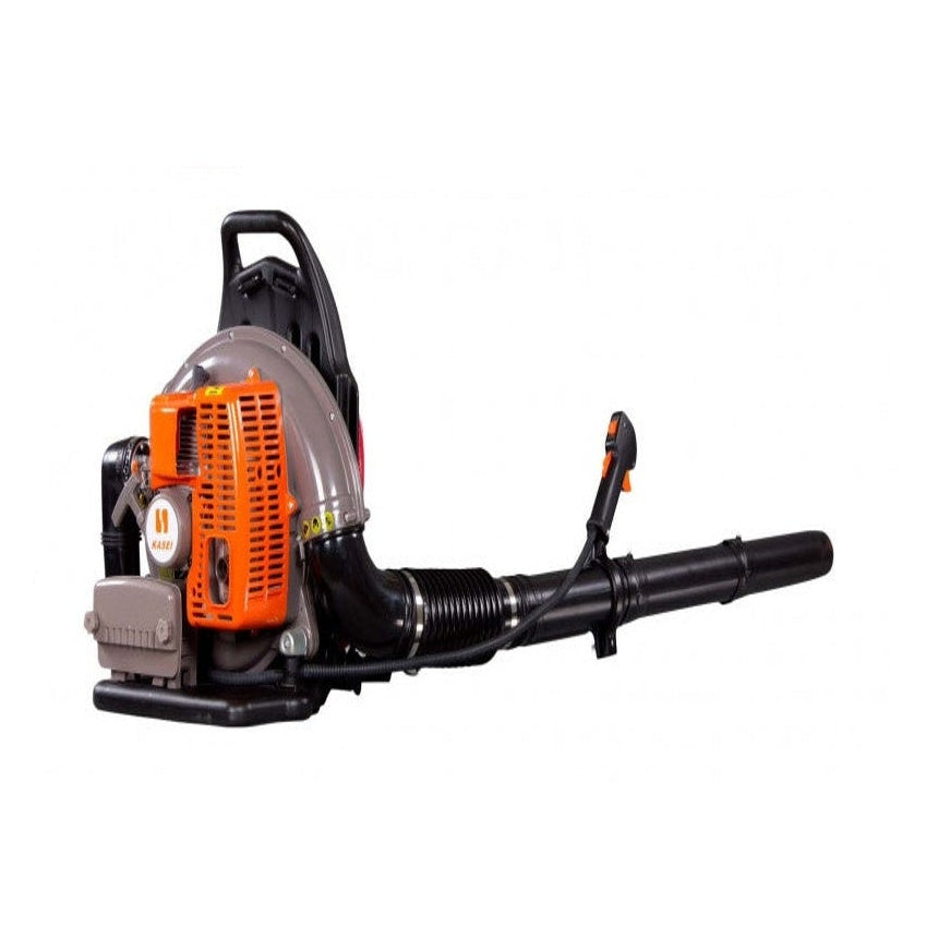 Soffiatore Spalleggiato Kasei EB 650 A-E