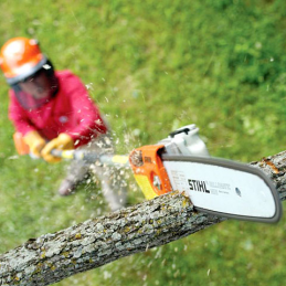 Asta STIHL Potatore HT-KM per Sistema Kombi