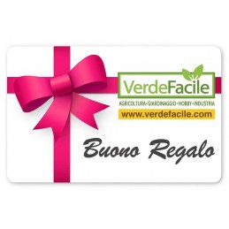 BUONO BUONO REGALO