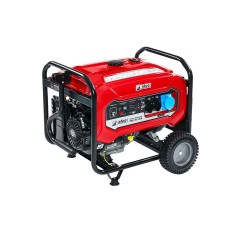 Generatore EFCO di Corrente PGE 65 DCS Stabilizzato con AVR