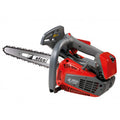 Motosega EFCO MTT 2500 con Lama Carving