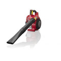 Soffiatore HONDA 4 Tempi HHB 25 E